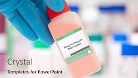  Presentation with fungus - Slide set consisting of kluyveromyces-marxianus-fungus-used background and a lemonade colored foreground