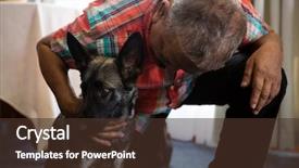  Presentation with dog - Audience pleasing PPT theme consisting of kneeling - senior man petting dog backdrop and a tawny brown colored foreground