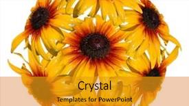  Presentation with watercolor wreath of flowers - Slides featuring knick - wreath isolated on white background and a gold colored foreground