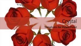  Presentation with octopus on isolated white - Colorful PPT theme enhanced with knick - wreath isolated on white backdrop and a red colored foreground