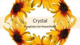  Presentation with history earth globe isolated white - Slide set enhanced with knick - wreath isolated on white background and a  colored foreground