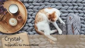  Presentation with ginger - Amazing slide deck having knitted woolen chunky blanket book backdrop and a coral colored foreground