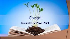  Presentation with knowledge - Audience pleasing slides consisting of knowledge concept with books backdrop and a sky blue colored foreground