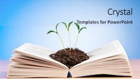  Presentation with knowledge - Slides with knowledge concept with books background and a light blue colored foreground