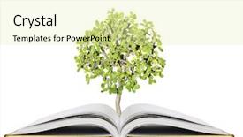  Presentation with magic book - Slide set consisting of knowledge tree - open magic book background and a soft green colored foreground