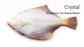  Presentation with flatfish - Slide set having known as plaice dab sole background and a white colored foreground