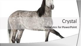  Presentation with pure white - PPT theme consisting of known as the pure spanish background and a  colored foreground