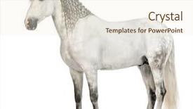  Presentation with pure white - Amazing slide deck having known as the pure spanish backdrop and a  colored foreground