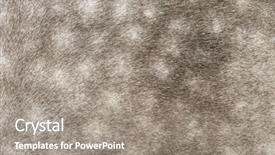  Presentation with pattern - Beautiful PPT theme featuring known as the pure spanish backdrop and a gray colored foreground