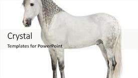  Presentation with pure white - Beautiful slides featuring known as the pure spanish backdrop and a  colored foreground