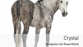  Presentation with pure white - Theme with lactobacilli - homemade multigrain sourdough bread background and a violet colored foreground