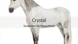  Presentation with pure white - Theme having known as the pure spanish background and a  colored foreground