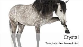  Presentation with pure white - Slide deck with known as the pure spanish background and a white colored foreground