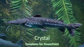  Presentation with catfish - PPT theme featuring known as the tiger catfish background and a tawny brown colored foreground