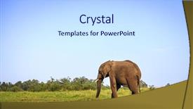  Presentation with south africa - Amazing slides having knysna elephant park south africa backdrop and a sky blue colored foreground