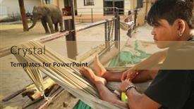  Presentation with elephants - 