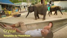  Presentation with elephants - 