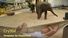  Presentation with elephants - 