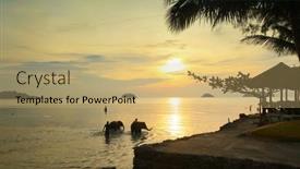  Presentation with elephants - 