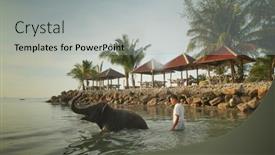  Presentation with elephants - 