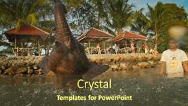  Presentation with elephants - Audience pleasing slide deck consisting of worker hoeing the young corn field backdrop and a coral colored foreground