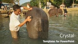  Presentation with elephants - 