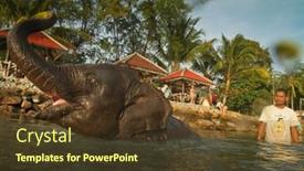  Presentation with elephants - Slides having ko-chang-trat-thailand-december background and a tawny brown colored foreground