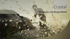  Presentation with elephants - 