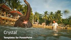  Presentation with elephants - 