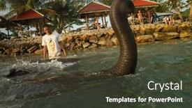  Presentation with elephants - 