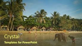  Presentation with elephants - 