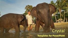  Presentation with elephants - 