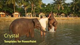 Presentation with elephants - 