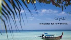  Presentation with mosquito - 