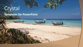  Presentation with mosquito - 