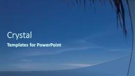  Presentation with mosquito - 