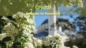  Presentation with springtime - Presentation theme with kocatepe-mosque-in-springtime-ankara background and a tawny brown colored foreground