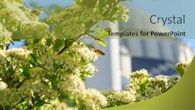  Presentation with springtime - Slide deck enhanced with kocatepe-mosque-in-springtime-ankara background and a gold colored foreground