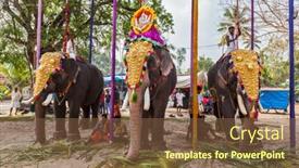  Presentation with india festival - 