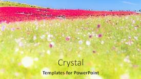  Presentation with autumn blue - Beautiful slide set featuring blue sky at ibaraki japan backdrop and a yellow colored foreground