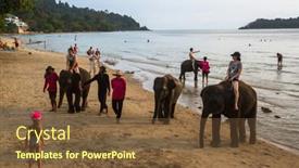  Presentation with elephants - 