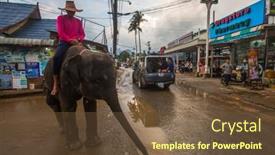  Presentation with elephants - 