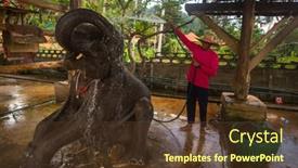  Presentation with animals - 