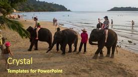  Presentation with elephants - 