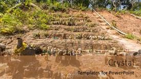  Presentation with fire red - Audience pleasing slides consisting of koh-chang-thailand-jan-7 backdrop and a coral colored foreground
