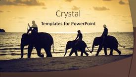  Presentation with elephants - 