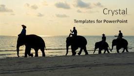  Presentation with elephants - 