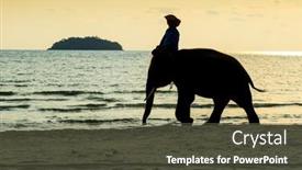  Presentation with elephants - 