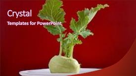  Presentation with diet - PPT theme enhanced with kohlrabi on plate raw food background and a  colored foreground