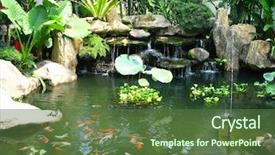  Presentation with fish pond - PPT theme enhanced with koi fish - tropical pond background and a tawny brown colored foreground